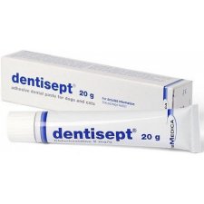 Livisto DENTISEPT adhezyjna pasta do zębów dla psów i kotów