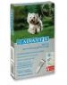 Bayer Advantix dla psów od 4 do 10kg