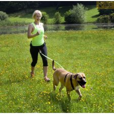 Dingo Smycz do biegania taśma z amortyzatorem 170cm z karabińczykami