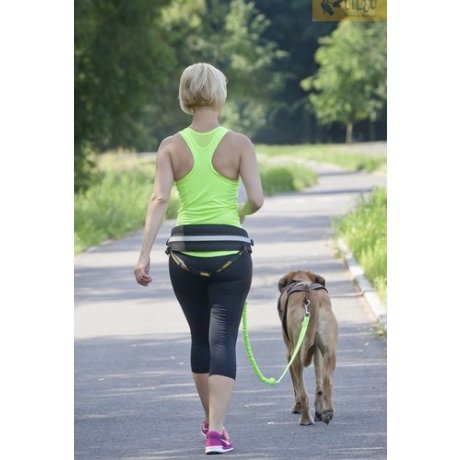 Dingo Pas do biegania Profi 4 możliwości zapinania