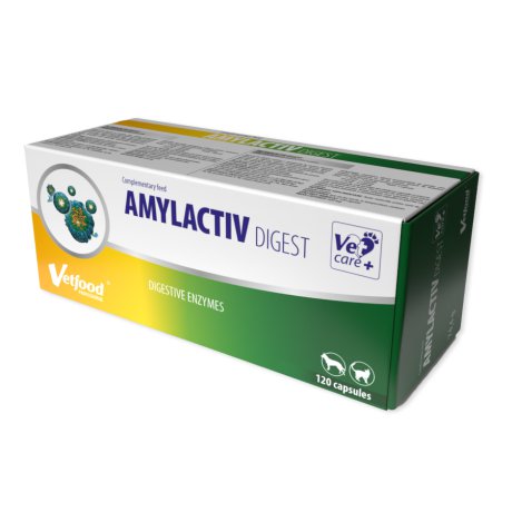 REGIS VETFOOD Amylactiv Digest preparat dla psów i kotów z zaburzeniami trawienia
