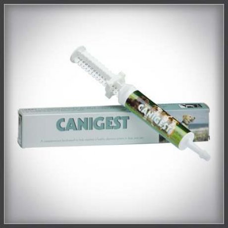 Canigest pasta uzupelniająca probiotyki i prebiotyki dla psów i kotów