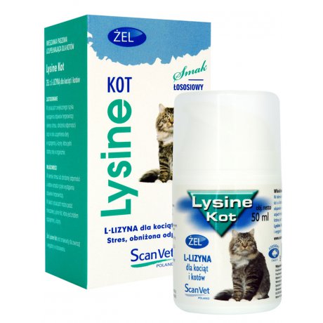 ScanVet Lysine Kot preparat wspomagający układ odpornościowy kociąt i dorosłych kotów z L-lizyną