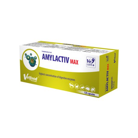 Regis Vetfood Amylactiv MAX wspomaga trawienie