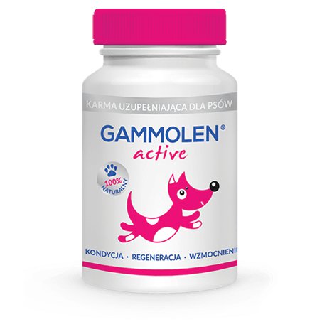 Gammolen Active suplement diety dla aktywnego psa