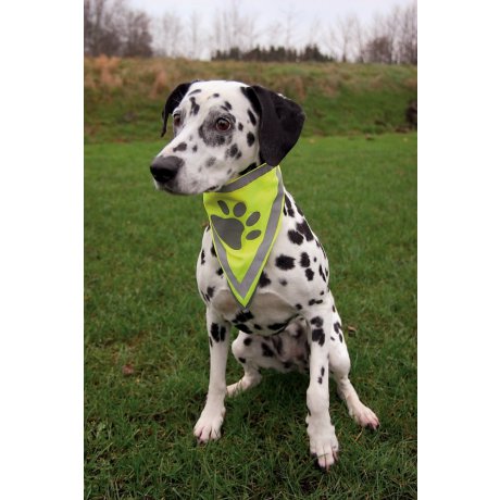 Trixie Chustka odblaskowa 