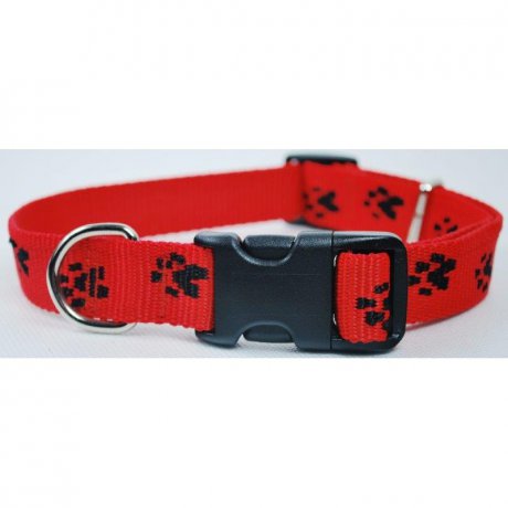 Chaba obroża łapki regulowana 16mm/42cm