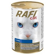Rafi Karma dla kota z rybą