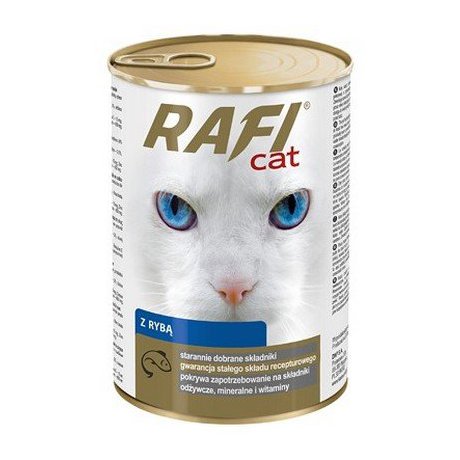 Rafi Karma dla kota z rybą