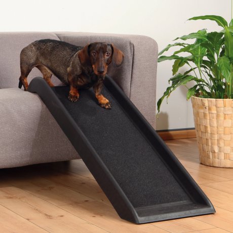 Trixie Rampa Petwalk
