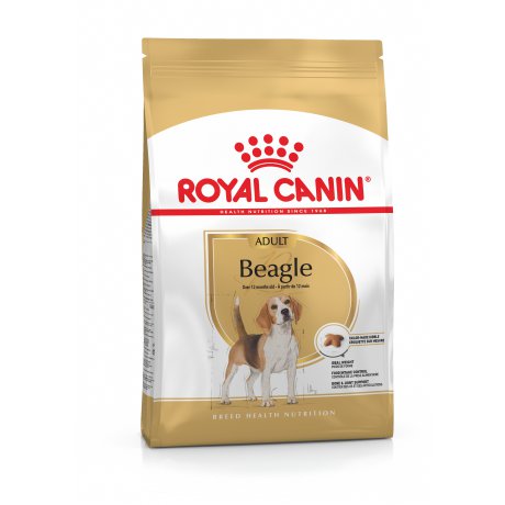 Royal Canin Beagle Adult powyżej 12. miesiąca życia