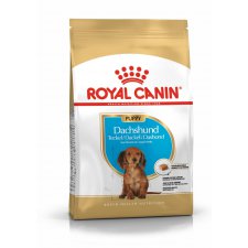 Royal Canin Dachshund Puppy karma dla szczeniąt rasy Jamnik