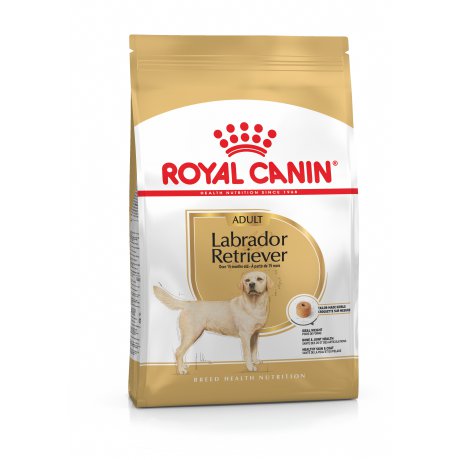 Royal Canin Labrador Retriever Adult karma dla labradorów