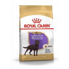 Royal Canin Labrador Retriver Sterilised Adult karma dla wysterylizowanych labradorów
