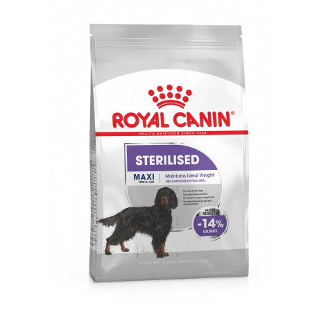 Royal Canin Maxi Sterilised karma dla dużych wysterylizowanych psów