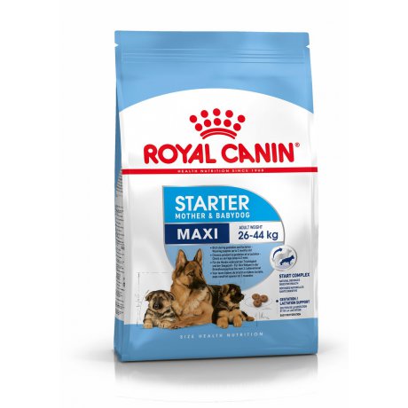 Royal Canin Maxi Starter Mother & Babydog dla suk w ciąży i laktacji i szczeniąt dużych ras do 2. miesiąca życia