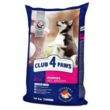 Club 4 Paws Puppies
