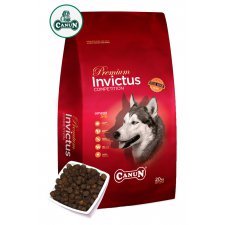 Canun Premium Invictus wysokoenergetyczna karma dla psów
