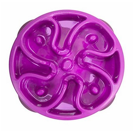 Outward Hound Fun Feeder Mini Miska do powolnego jedzenia