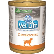 Farmina Vet Life Convalescence Karma dla psów osłabionych chorobami