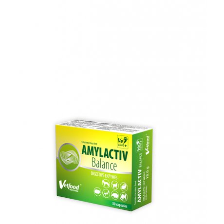 REGIS VETFOOD Amylactiv Balance preparat dla psów i kotów z zaburzeniami trawienia