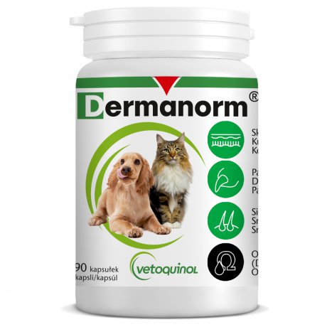 Vetoquinol Dermanorm Kwasy omega na sierść, skórę i pazury