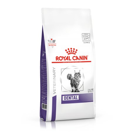 Royal Canin Dental karma na zęby dla kotów