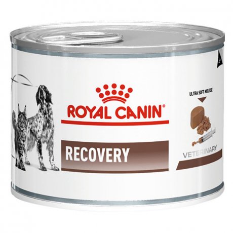 Royal Canin Recovery karma po zabiegach chirurgicznych