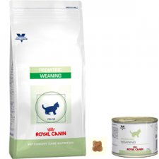 Royal Canin Pediatric Weaning karma dla kociąt od 4 tygodnia do 4 miesiąca życia
