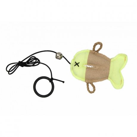 Barry King - Fluorescencyjna Ryba dla Kota: Nocne Zabawy!