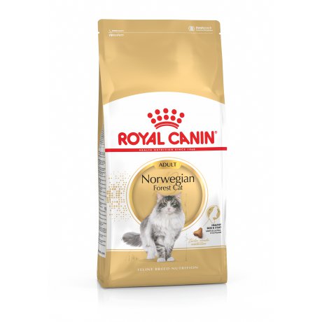 Royal Canin Norwegian Forest Cat Adult karma dla kotów norweskich leśnych