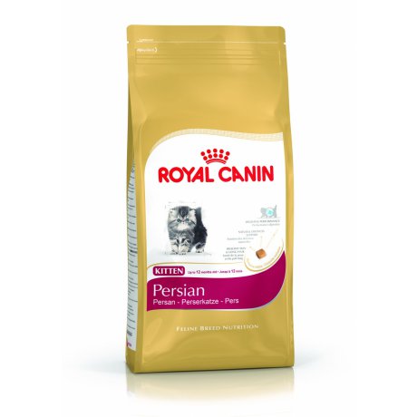Royal Canin Persian Kitten dla młodych kotów rasy Pers