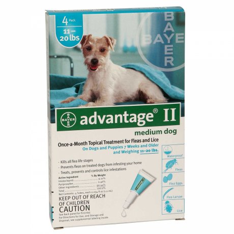 Bayer Advantage Spot-on krople na pchły