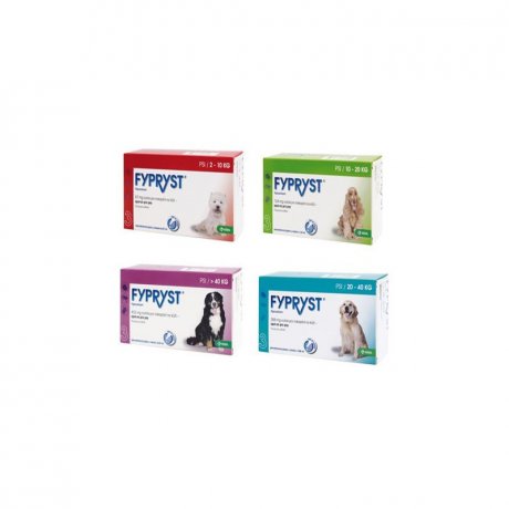 Fypryst preparat na kleszcze dla psów