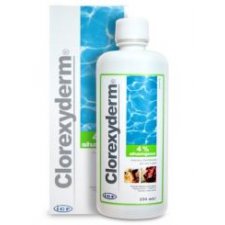 ICF Clorexyderm Shampoo 4% skoncentrowany szampon do pielęgnacji skóry dla psów i kotów