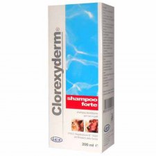 ICF Clorexyderm Shampoo Forte szampon weterynaryjny do pielęgnacji skóry dla psów i kotów