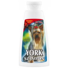 DermaPharm Szampon York