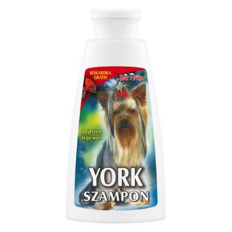 DermaPharm Szampon York