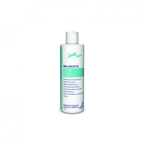 MalAcetic Szampon - Antybakteryjny dla Psów i Kotów