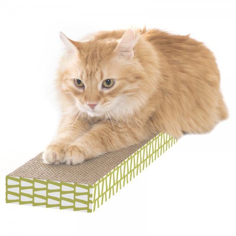 Drapak dla kota - Centrum zabawy i wypoczynku kota.