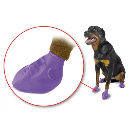 Pawz - Wielofunkcyjne, Biodegradowalne Obuwie Gumowe dla Psów