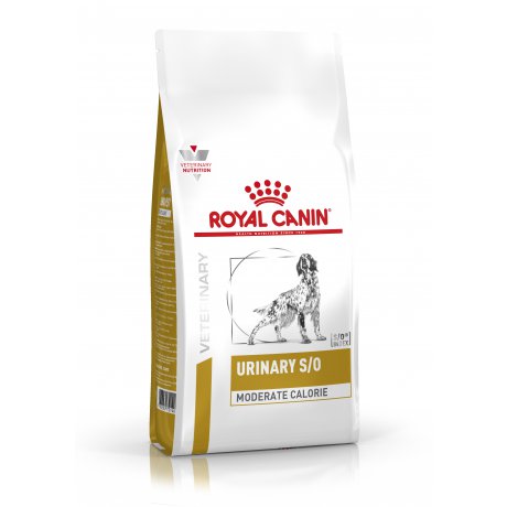 Royal Canin Urinary S/O Moderate Calorie karma dla psów z problemami urologicznymi z mniejszą zawartością kalorii