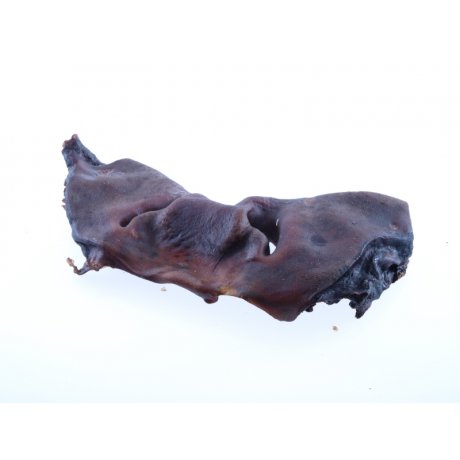 Artex Nos wołowy ciemny