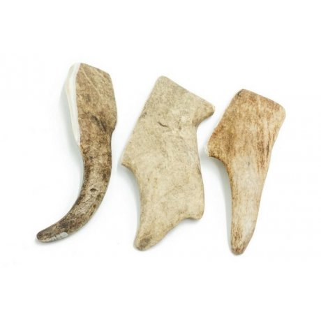 4Dogs Gryzak z Poroża Daniela Hard