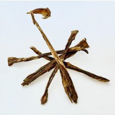 Arami Trawieniec wołowy