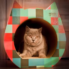House of Cats Drapak kartonowy Cat Cube
