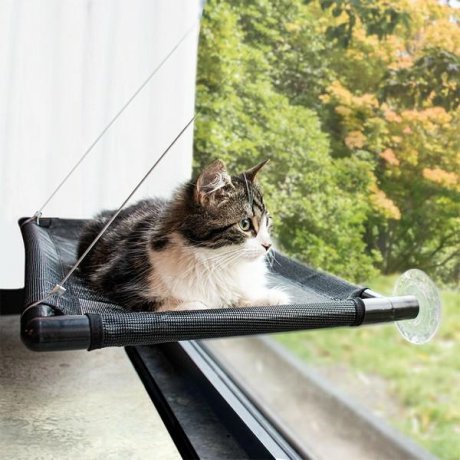 Duvo+ Hamak dla kota na okno